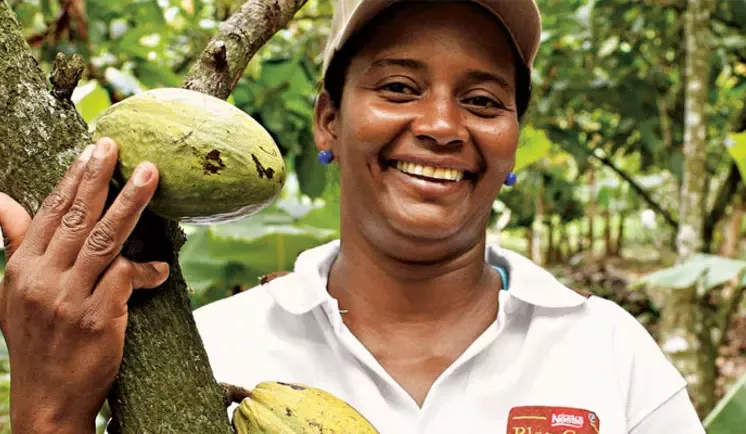Nestlé Cocoa Plan representative