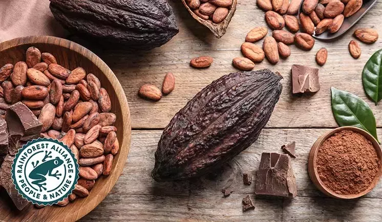 Cocoa