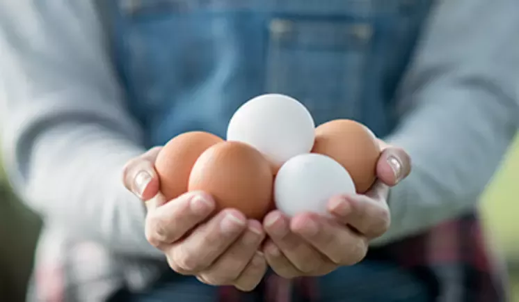 person holding fresh eggs