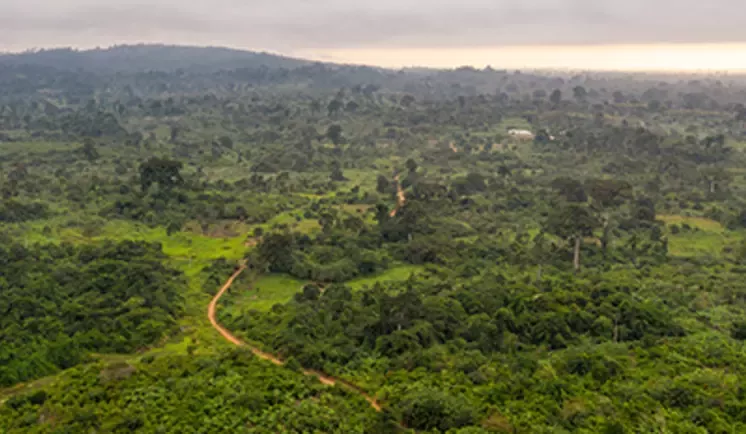 agricultural landscape with forested areas