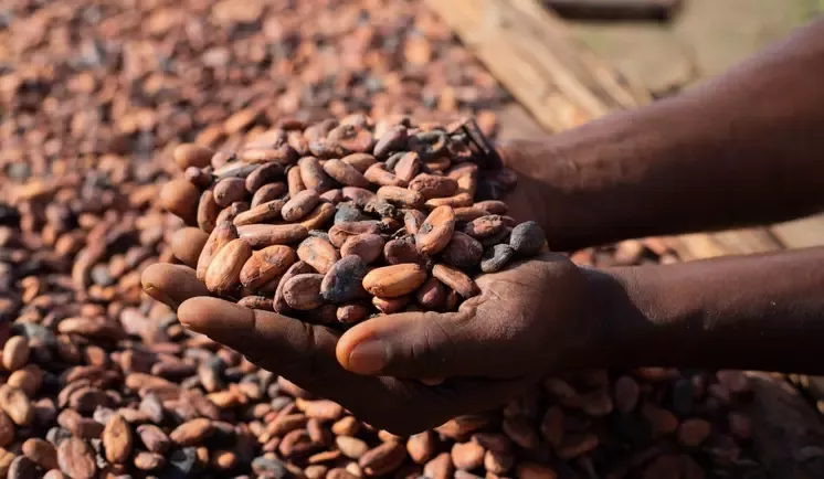 coffee beans