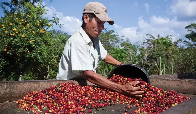 Coffee farmer and coffee beans