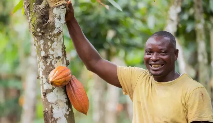 cocoa farmer