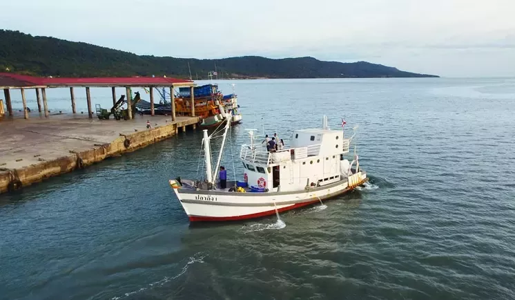 Fishing boats