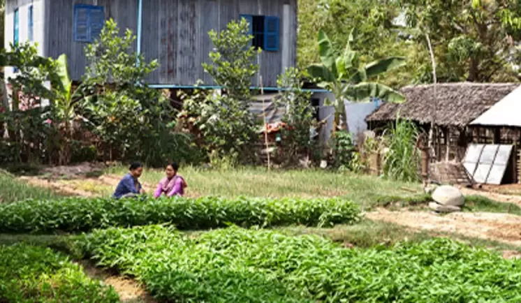 Farmers near house
