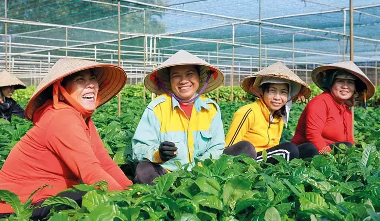 Farmers