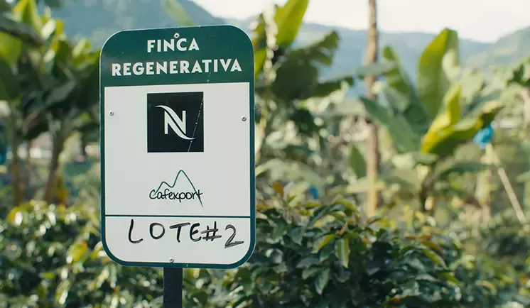 Regenerative coffee farm sign surrounded by coffee plants and mountain landscapes