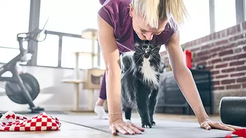 Girl hugging cat
