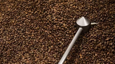 coffee beans