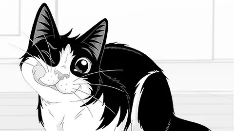 felix-bw-cat-270