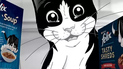 felix-bw-cat-270