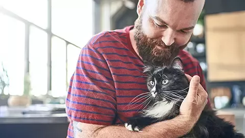 Girl playing with cat