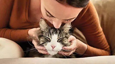 Woman hugging a cat
