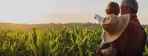 Grandfather with a child looking at sunrise