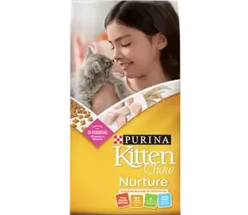 Cat Chow kitten