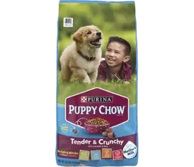 dog chow puppy
