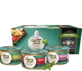 fancy feast food