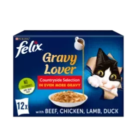 felix gravy