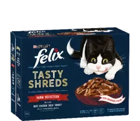 felix shreeds