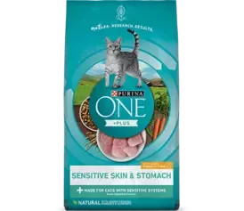 Purina ONE cat dry