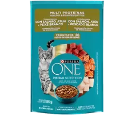 Purina ONE cat wet