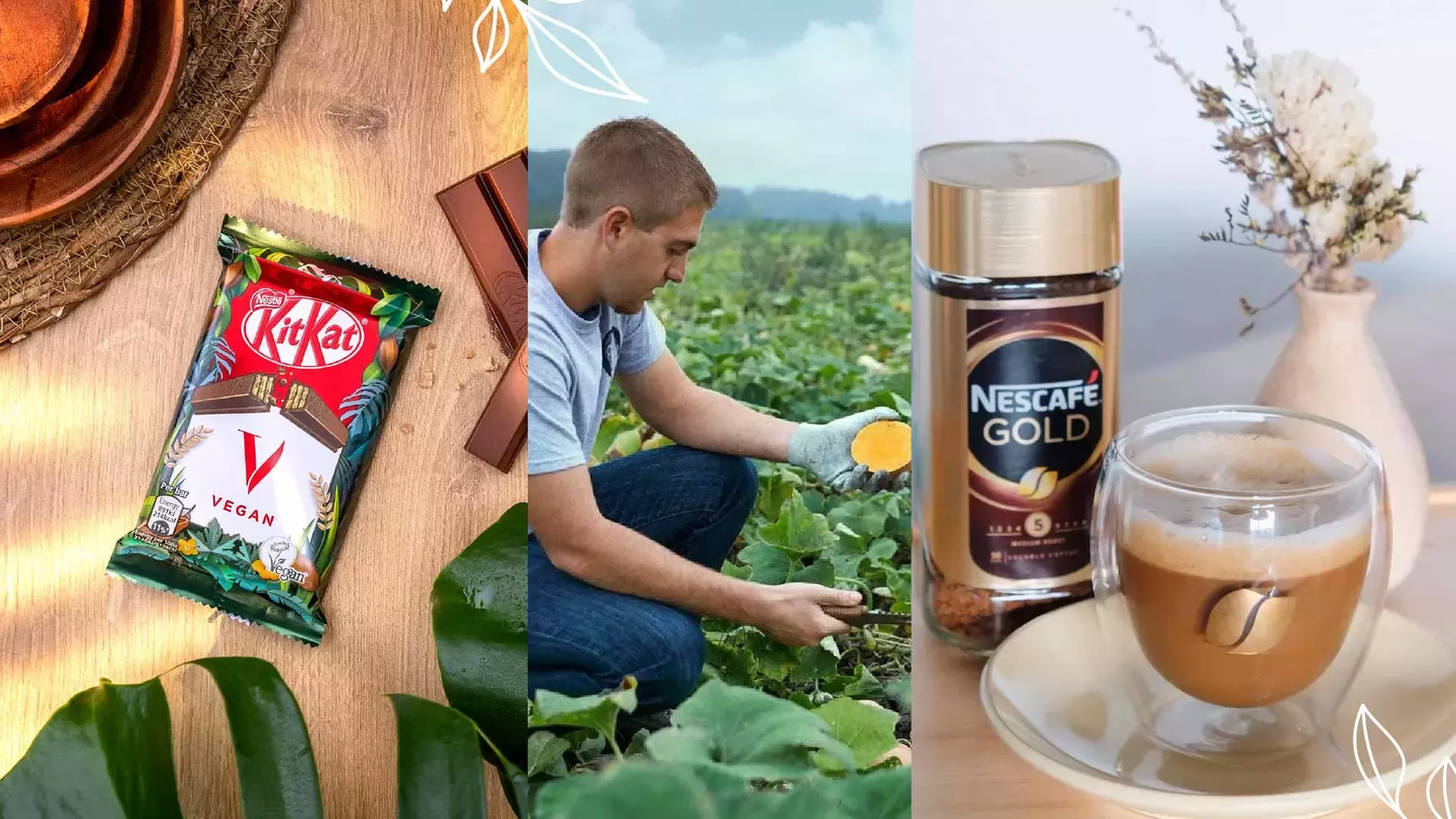 3 Nestlé brands taking action on sustainability | Nestlé Global