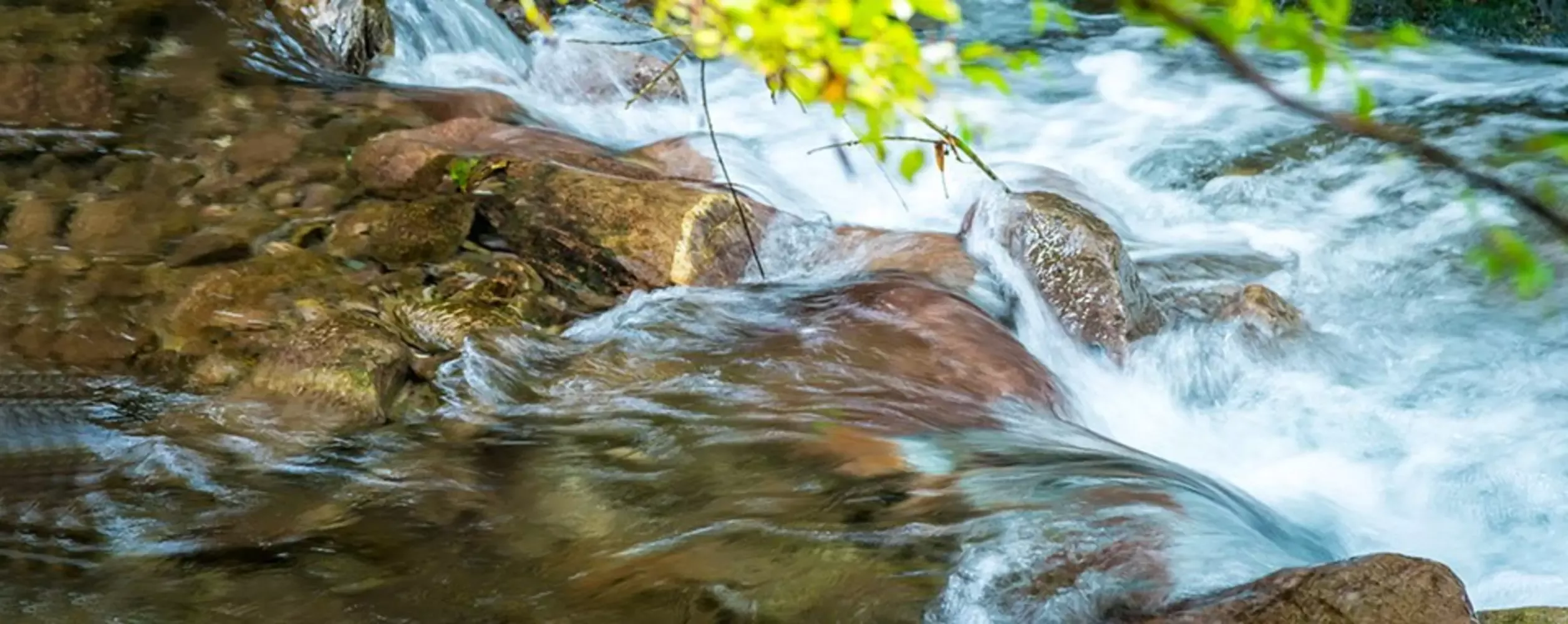water stewardship