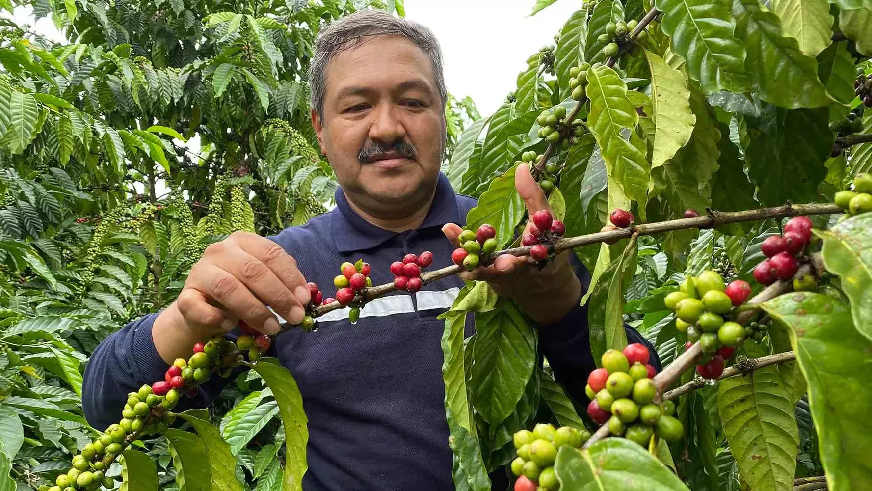 Coffee farmer