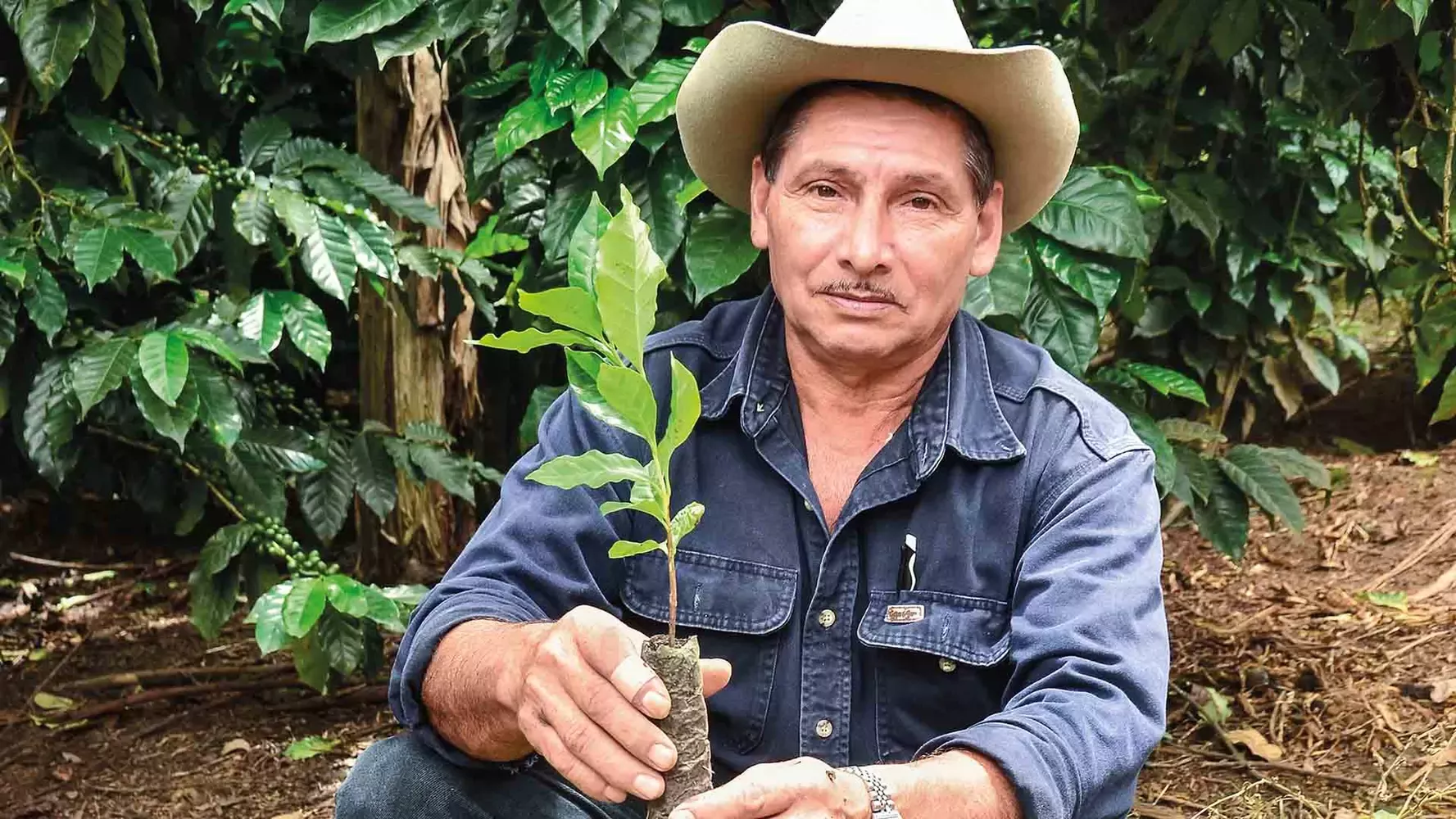 coffee farmer