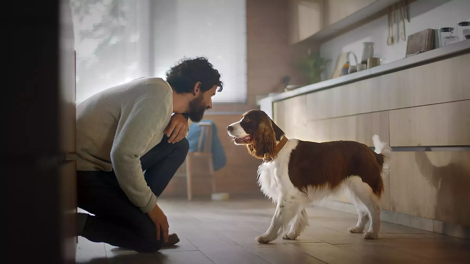 Pet care