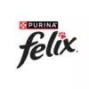 Felix logo