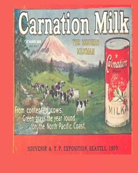 carnation milk