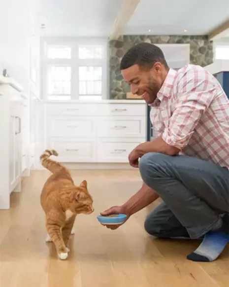 Man feeding a cat