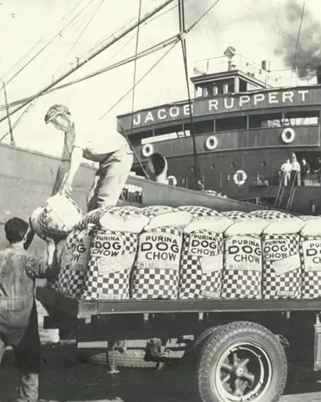 Dog chow packs on truck, 1933