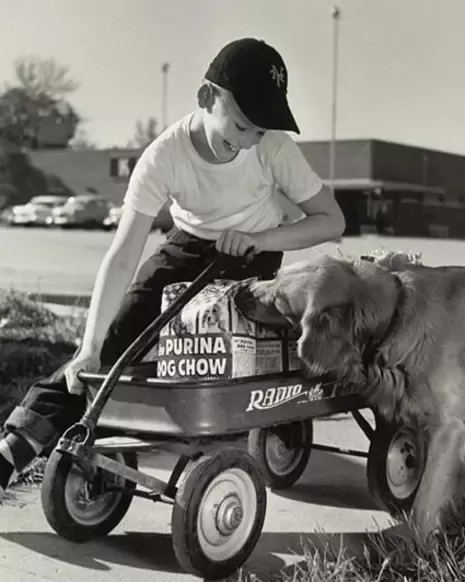 kid with a dog
