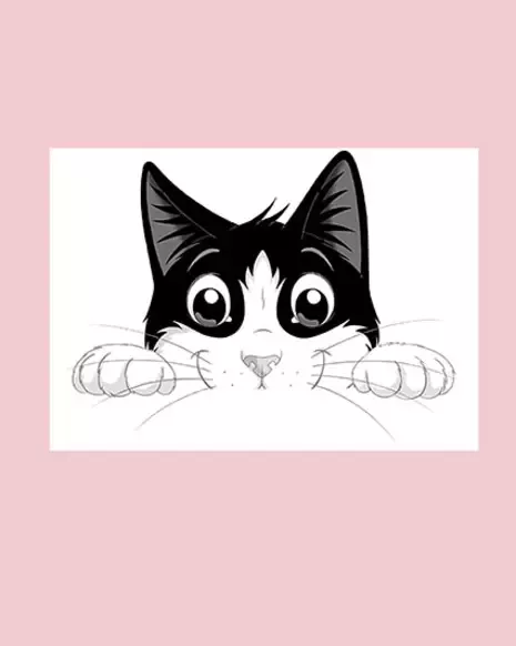 Cat Felix
