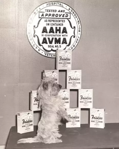 Friskies products and a dog