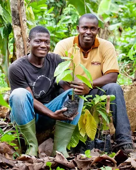 Nestlé Cocoa Plan