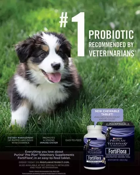 Pro Plan booklet