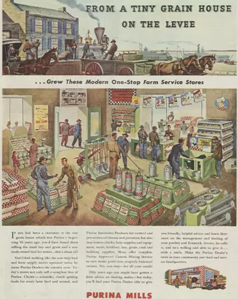 Article about Purina in the newspaper