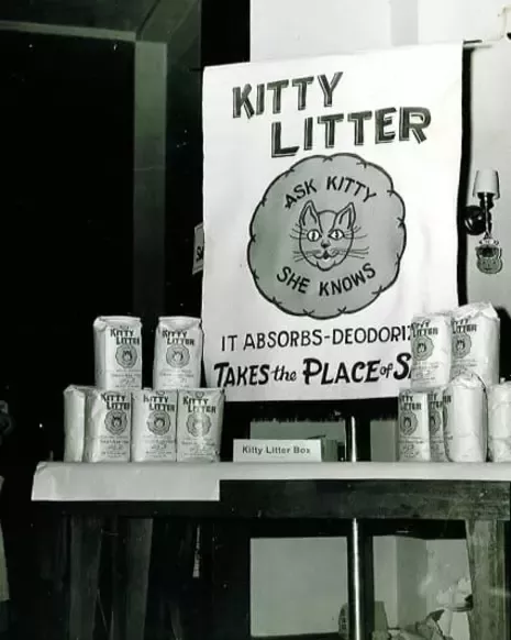 Kitty litter products