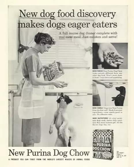 Purina Dog Chow advertising booklet