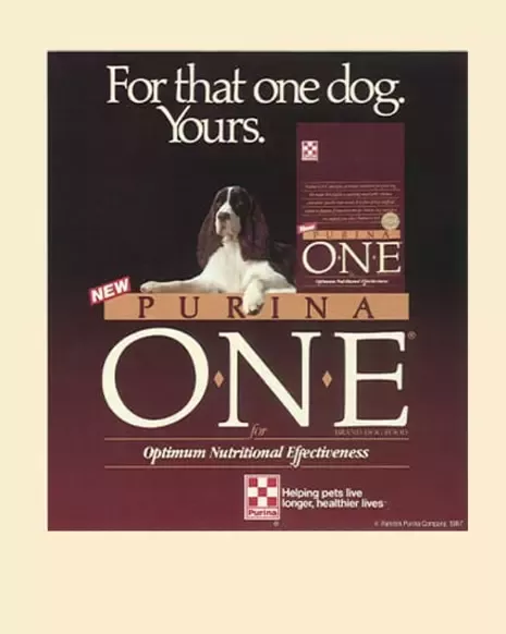 Purina One coupon