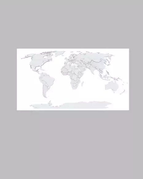 World map
