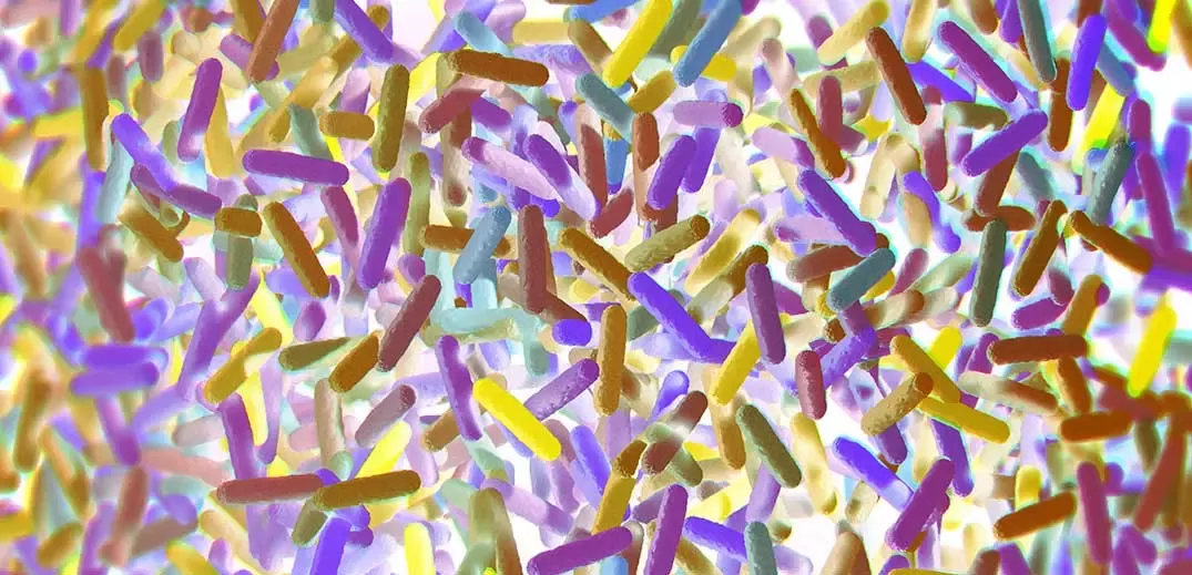 microbiome research