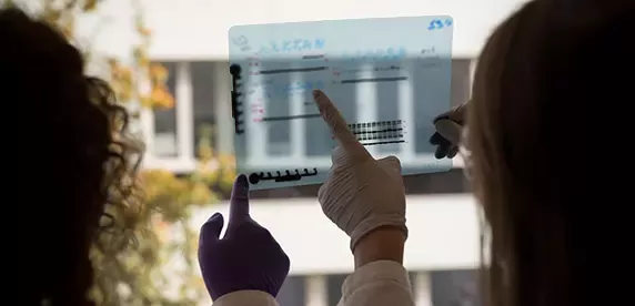 scientists looking at transparent
