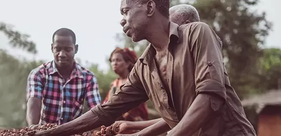 cocoa farmers