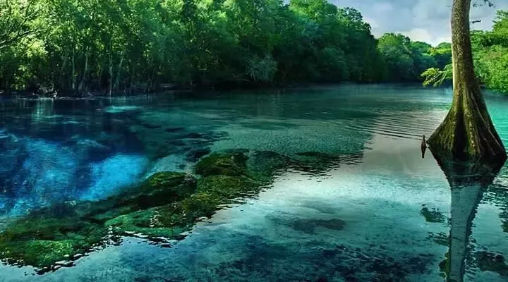 Nestlé Waters pledge