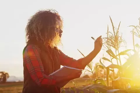 farmer