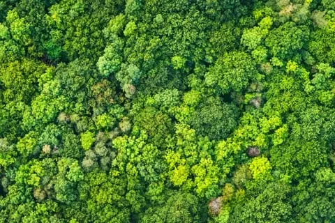 We engage our stakeholders to enhance supply chain transparency and traceability through sustainable and efficient sourcing, processing, production and other related value chain strategies.